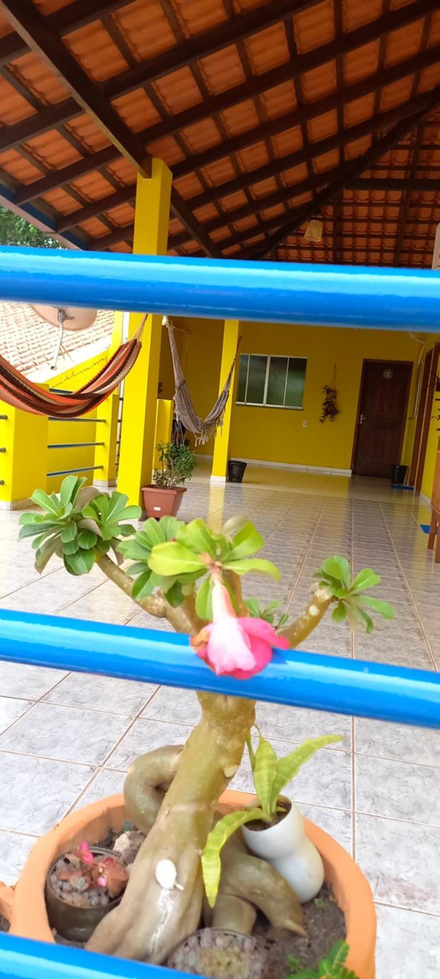 Casa Da Vila - Hospedaria - 3 Min Do Centrinho De Alter Alter do Chão Luaran gambar